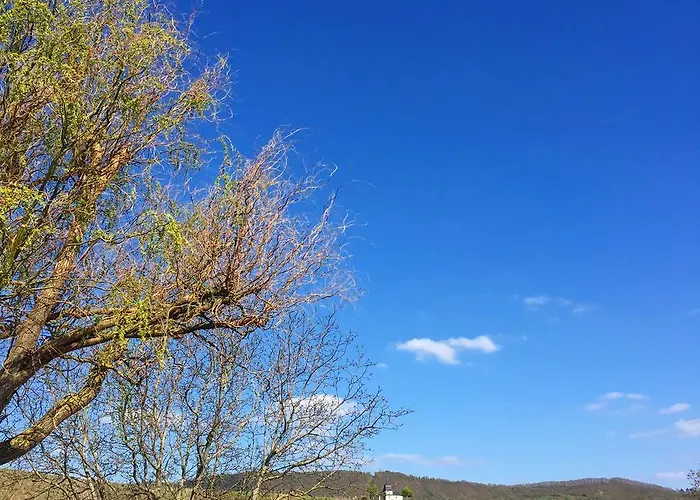 Gaestehaus Sektstuuf St. Laurentius 호텔
